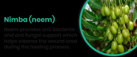 Neem