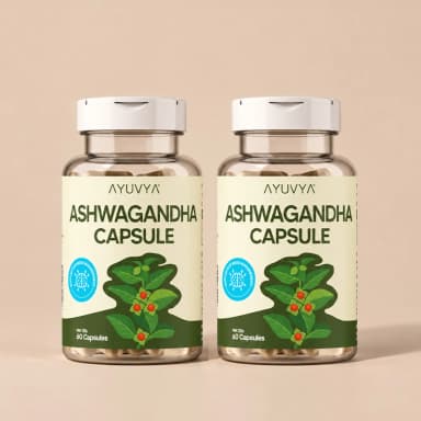 Shilajit Energy Mix