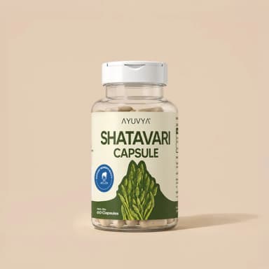 Shilajit Energy Mix