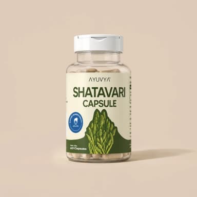 Shilajit Energy Mix
