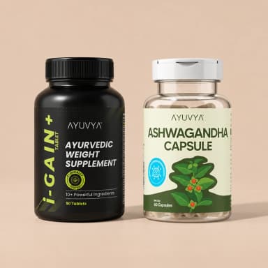 Shilajit Energy Mix