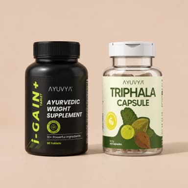 Shilajit Energy Mix