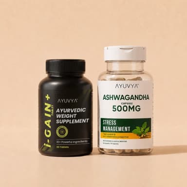 Shilajit Energy Mix