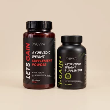 Shilajit Energy Mix