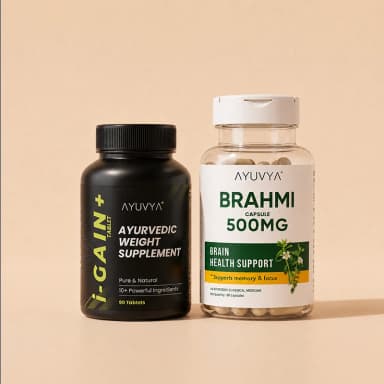 Shilajit Energy Mix