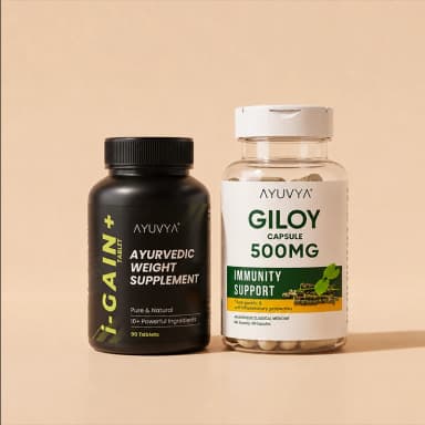 Shilajit Energy Mix
