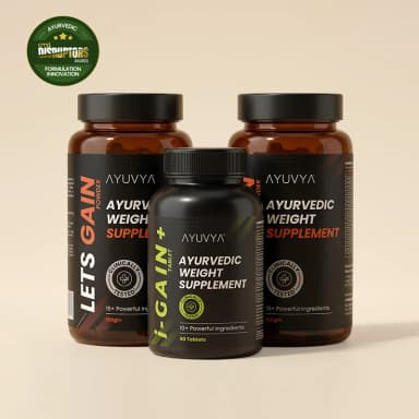 Shilajit Energy Mix