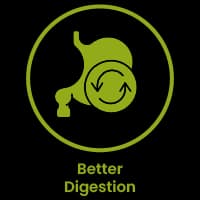 Better Digestion