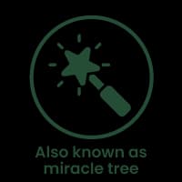 Also Known